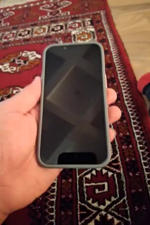 اپل iPhone 13 با حافظهٔ ۱۲۸ گیگابایت|موبایل|گنبد کاووس, |دیوار