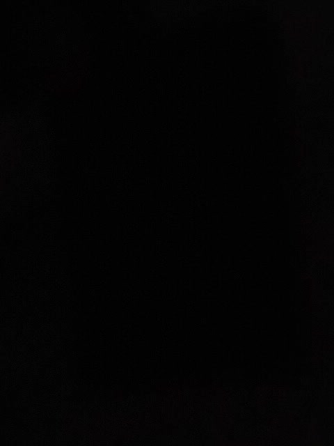 پیداشده|کیف، کفش، کمربند|رفسنجان, |دیوار