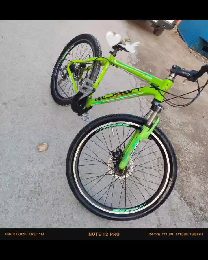 دوچرخه|دوچرخه، اسکیت، اسکوتر|بجنورد, |دیوار