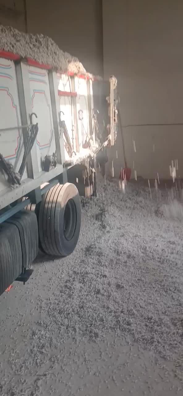 فروش تخم پنبه تحویل درب گاوداری و دامداری|حیوانات مزرعه|نسیمشهر, |دیوار