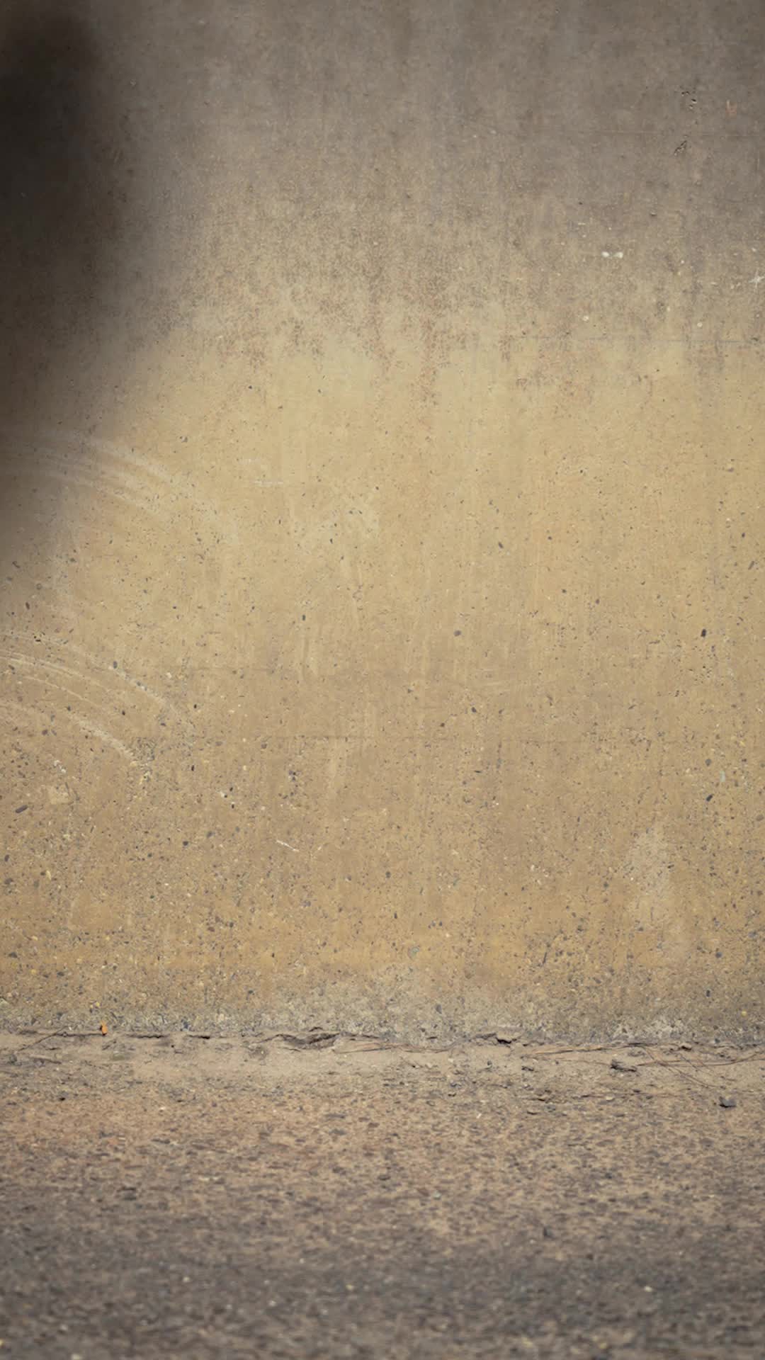 کاغذ دیواری|خدمات پیشه و مهارت|بجنورد, |دیوار