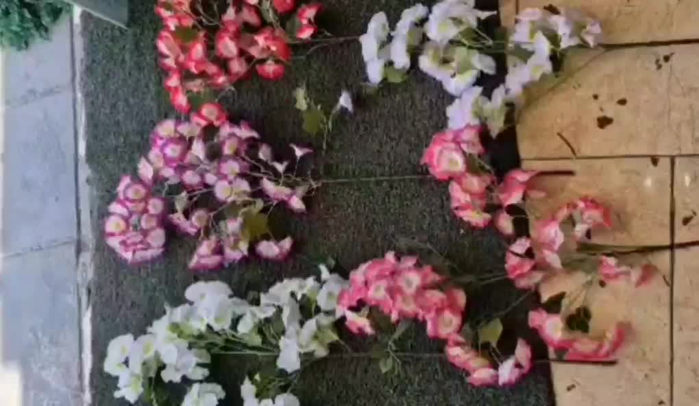 گل اطلسی|گل مصنوعی|تهران, شوش (باغ آذری)|دیوار