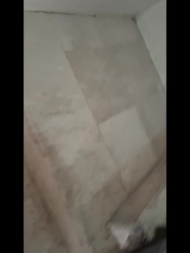 نصاب انواع موکت|خدمات پیشه و مهارت|بندرعباس, |دیوار