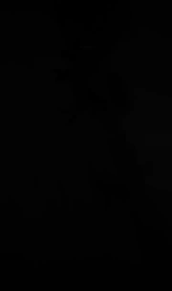 اسب|اسب و تجهیزات اسبسواری|کازرون, |دیوار