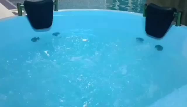 اجاره کوتاه مدت بلند مدت باغ ویلا|اجارهٔ کوتاهمدت ویلا و باغ|ماهدشت, |دیوار