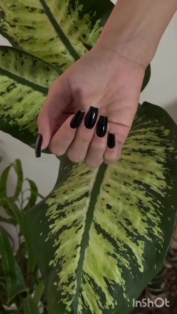 کاشت ناخن و مژه تخفیفات ویژه|خدمات آرایشگری و زیبایی|محمدشهر, محمدشهر|دیوار