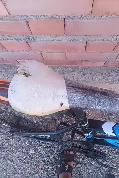 دوچرخه سایز 20|دوچرخه، اسکیت، اسکوتر|جازموریان, |دیوار