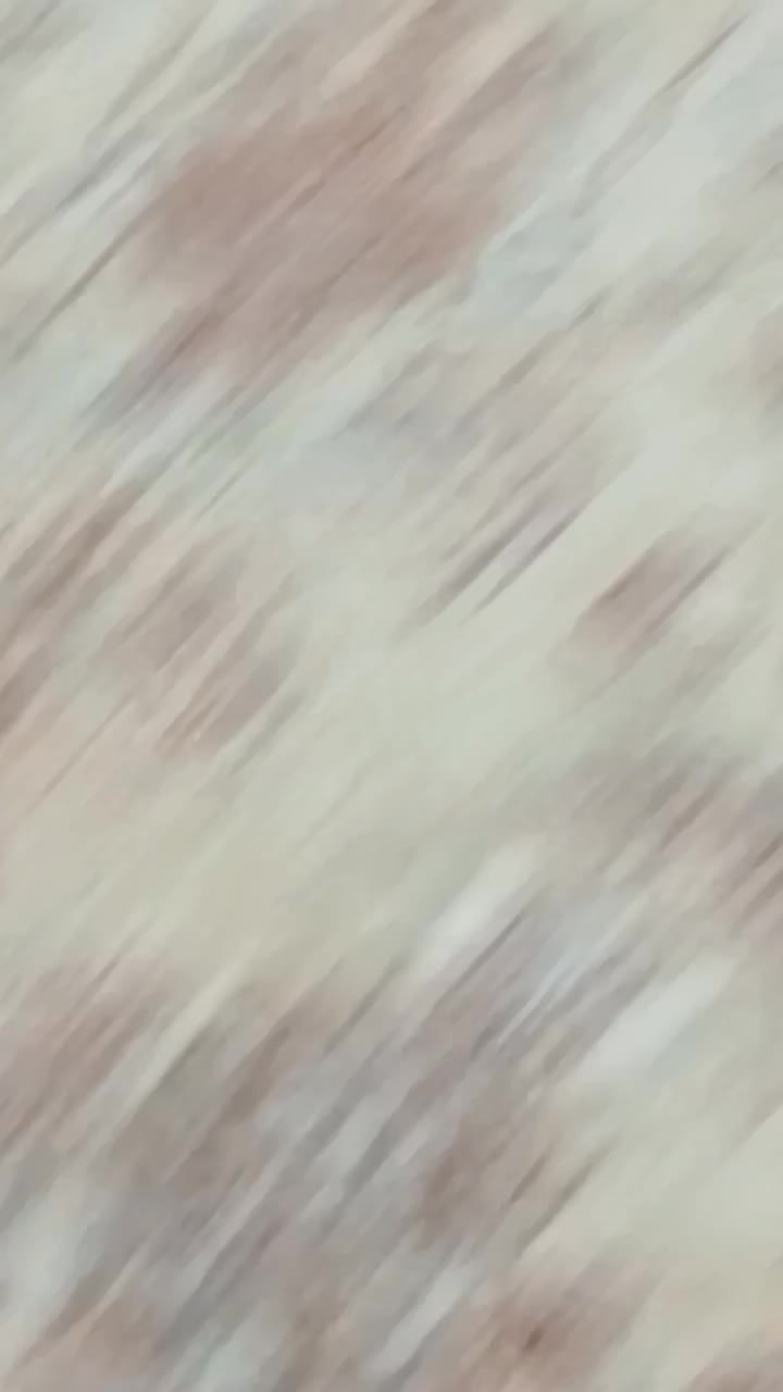 سهره نر دو رگ|پرنده|تهران, مطهری|دیوار