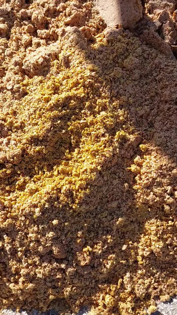 تفاله سیب|لوازم جانبی حیوانات|مرودشت, کوشک|دیوار