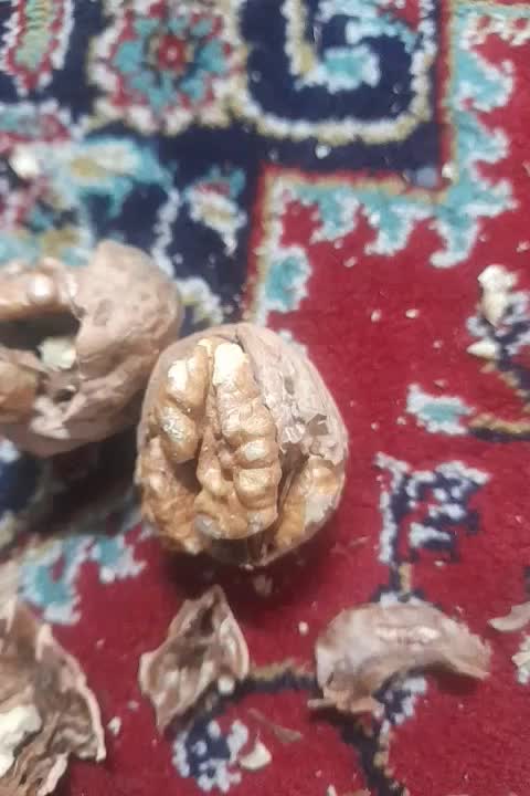 گردو|خوردنی و آشامیدنی|اصفهان, بوزان|دیوار