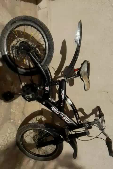 دوچرخه۲۰|دوچرخه، اسکیت، اسکوتر|گلبهار, شهر جدید گلبهار|دیوار