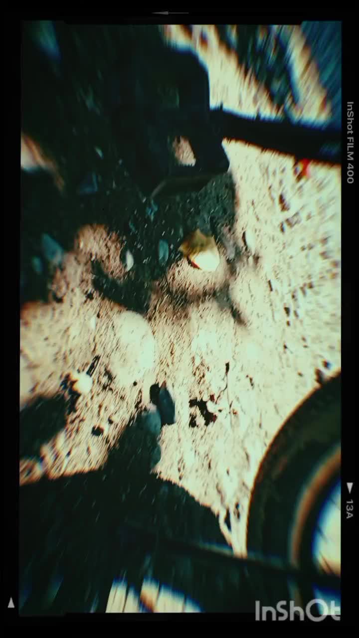 دوچرخه 24|دوچرخه، اسکیت، اسکوتر|خدا آفرین, |دیوار