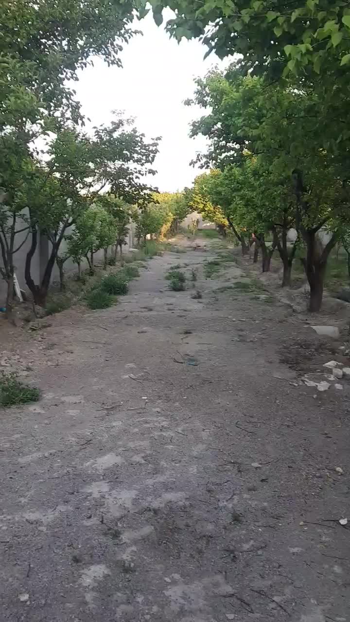 باغ ۷۶۰ متری درختان مثمر۱۰ ساله بلوار توس توس ۱۴۱|فروش خانه و ویلا|مشهد, دوست آباد|دیوار