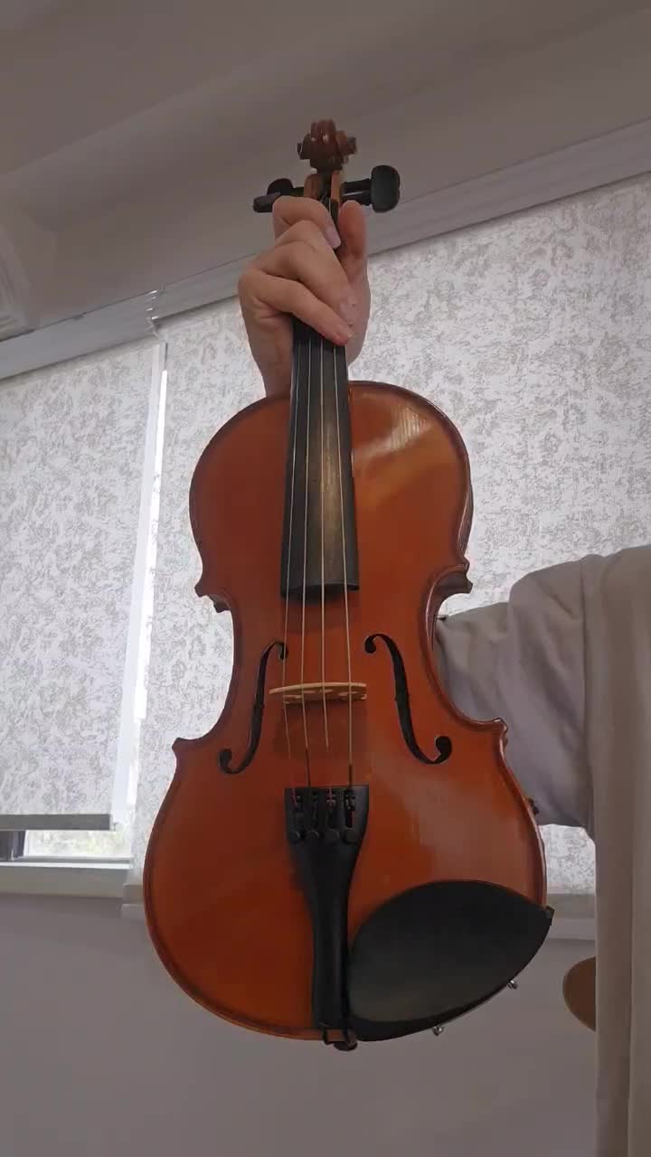 ویلن برند locato اورجینال|ویولن|تهران, اکباتان|دیوار