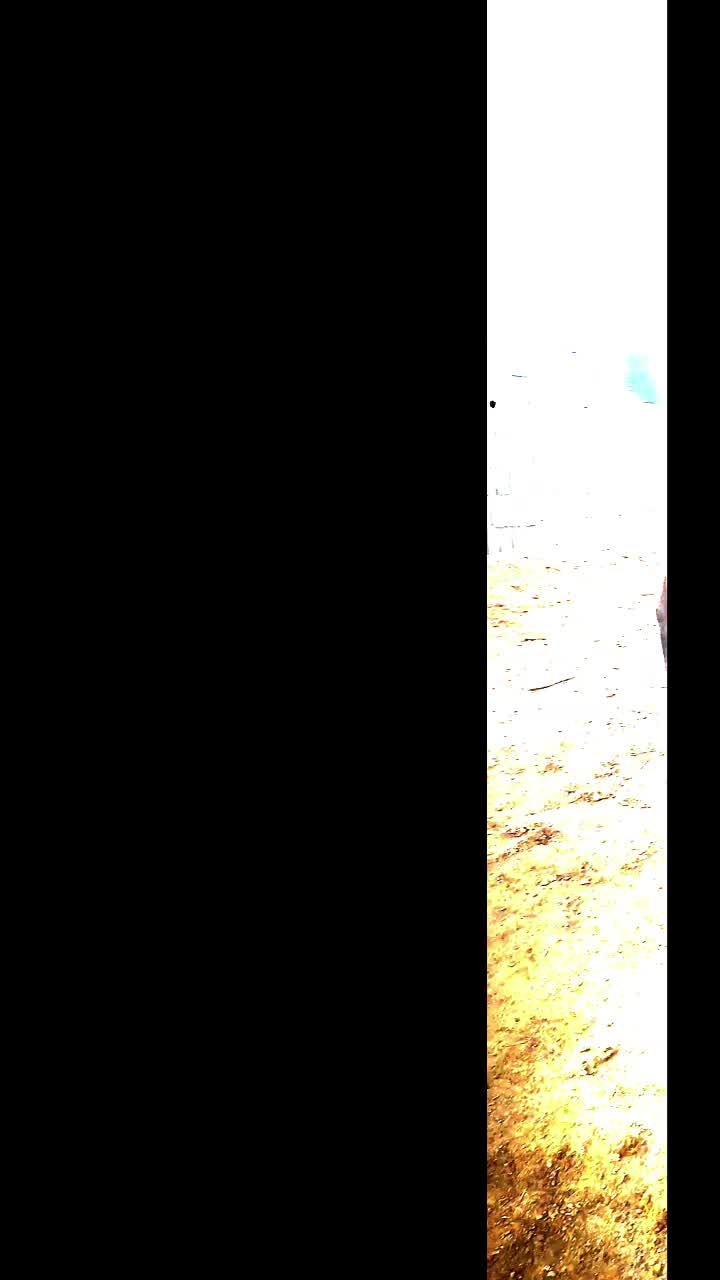 اسب|اسب و تجهیزات اسب‌سواری|برخوار, |دیوار