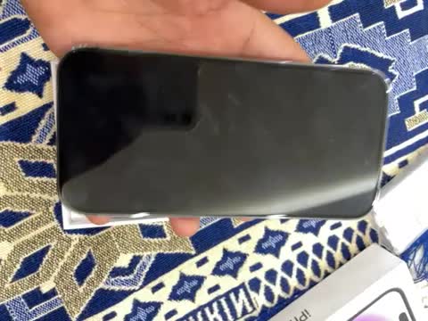 آیفون ۱۴ پرو|موبایل|سبزوار, رضوی|دیوار