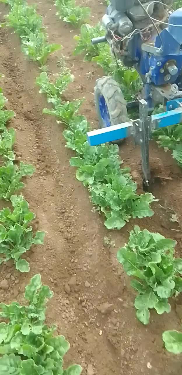 خدمات شخم زنی با تیلر فارو و خاک پا چغندر و زعفران|خدمات باغبانی و درختکاری|الشتر, |دیوار