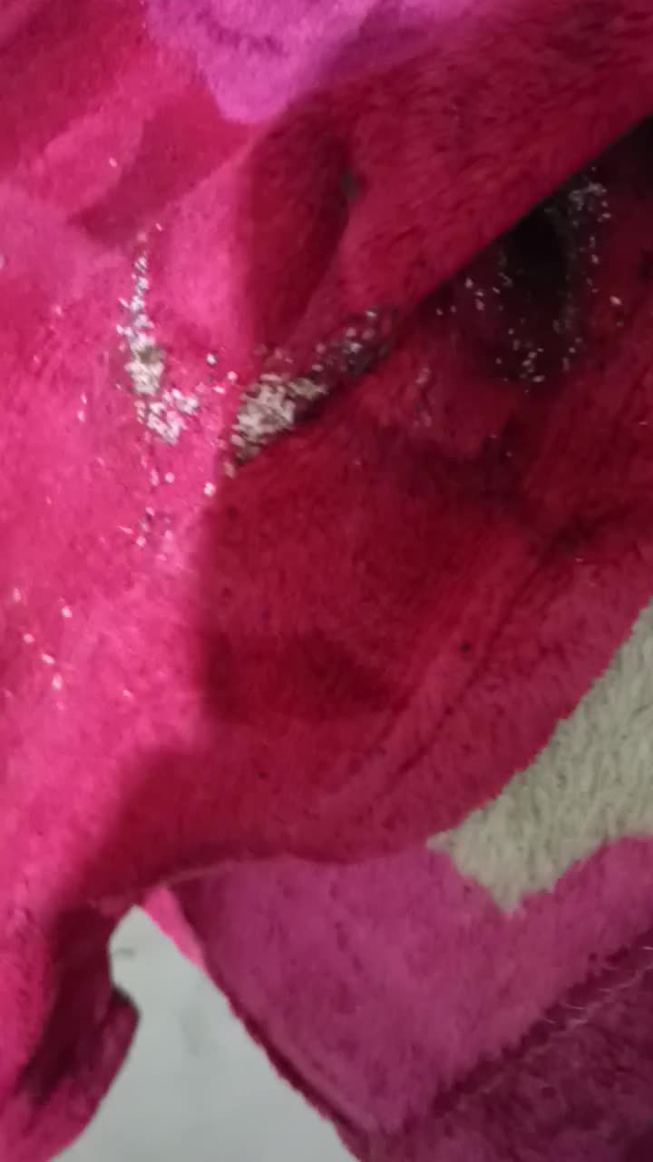 سمپاشی ساس سم پاشی سوسک تهران حومه گارانتی انقلاب|خدمات نظافت|تهران, میدان ولیعصر|دیوار