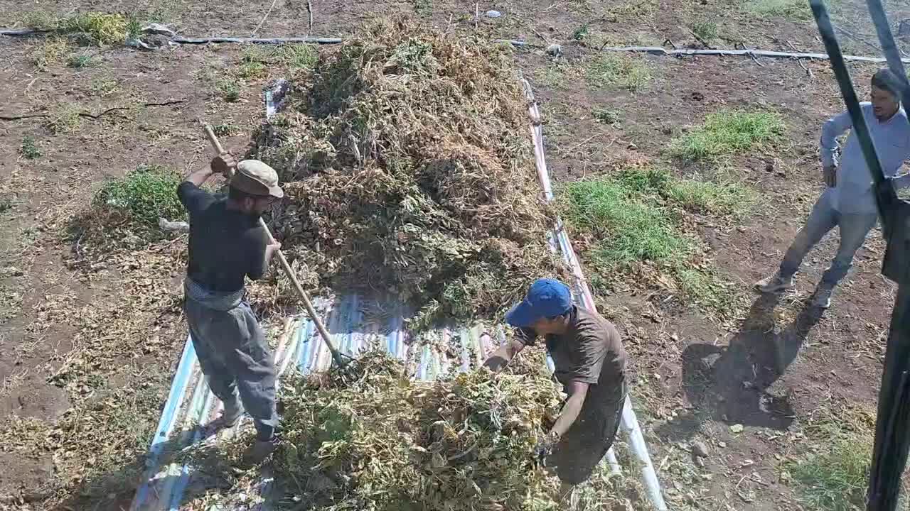 کمباین نیوهلندجهت بر داشت لوبیا|ماشین‌آلات صنعتی|قزوین, |دیوار