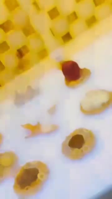 فروش عمده هفت سین سنگ مصنوعی|صنایع دستی و سایر لوازم تزئینی|لامرد, |دیوار