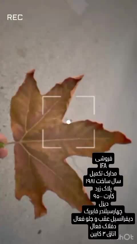 ماشین افرود . خودرو کلاسیک .|خودرو کلاسیک|پردیس, فاز ۱|دیوار