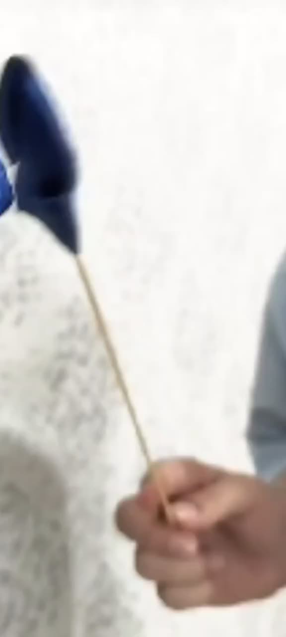 گل ربانی|گل مصنوعی|بروجرد, |دیوار