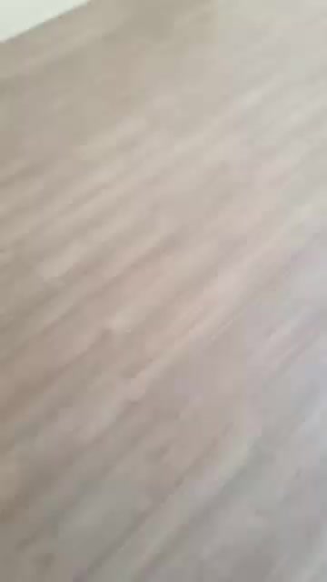 بلندگو سقفی|سیستم صوتی خانگی|تبریز, |دیوار