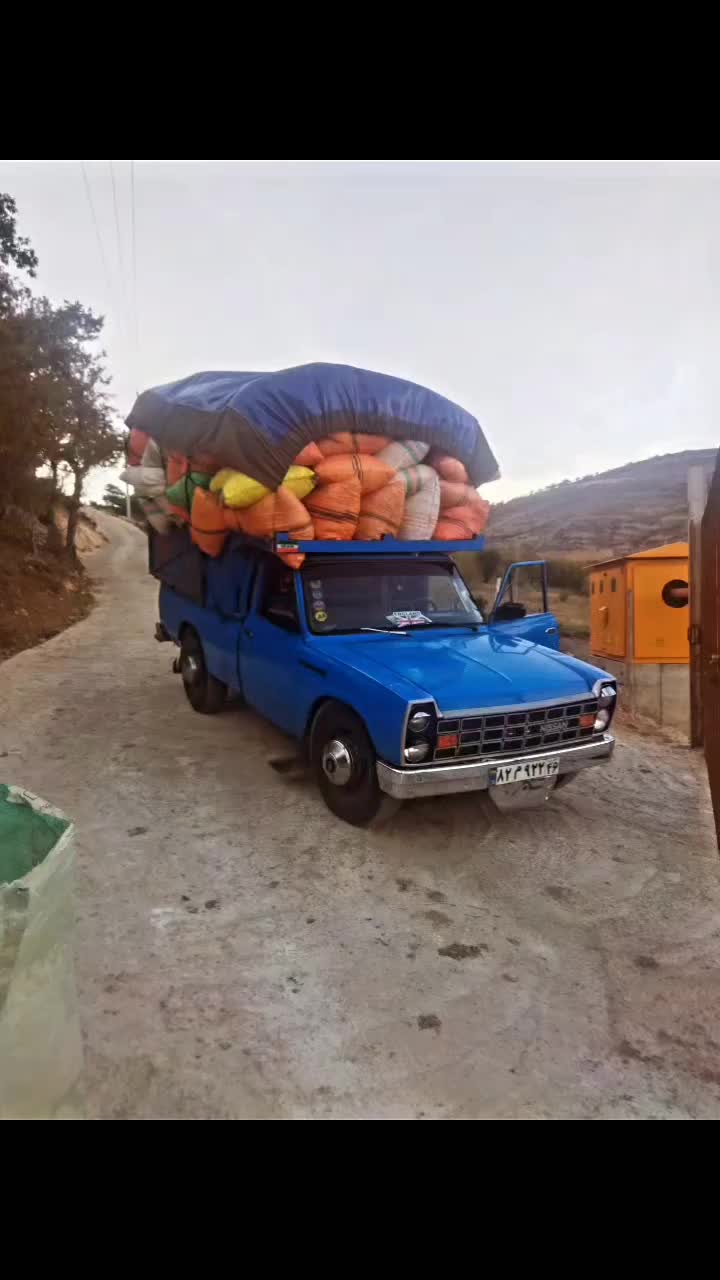 باربری ونوس شمال (چیدمان و بسته بندی)|خدمات حمل و نقل|تولم شهر, |دیوار