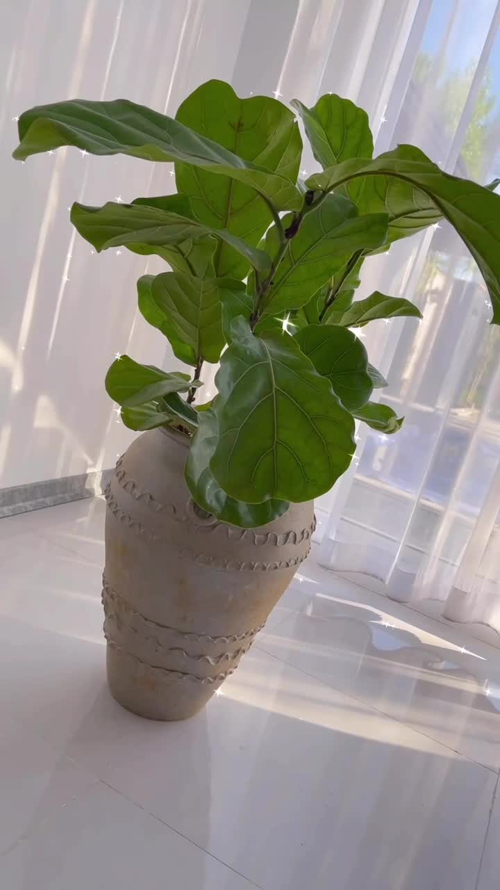 گلدان پتینه|صنایع دستی و سایر لوازم تزئینی|کرج, گوهردشت|دیوار