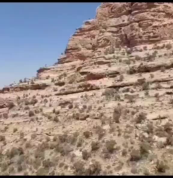 شیره سنگ صد در صد طبیعی/شیلاجیت/مومیایی/سلاجیت|آرایشی، بهداشتی، درمانی|تهران, بازار|دیوار