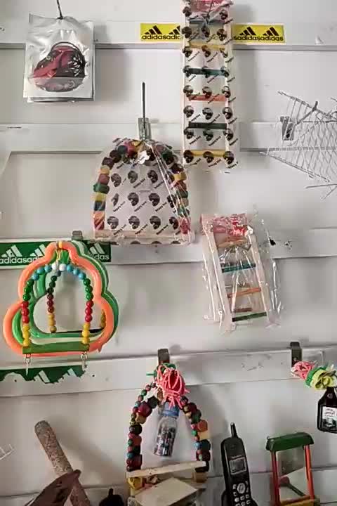 قصر پرنده انواع قفس پرنده و قفس و ملزومات پرنده|لوازم جانبی حیوانات|مشهد, آزادشهر|دیوار