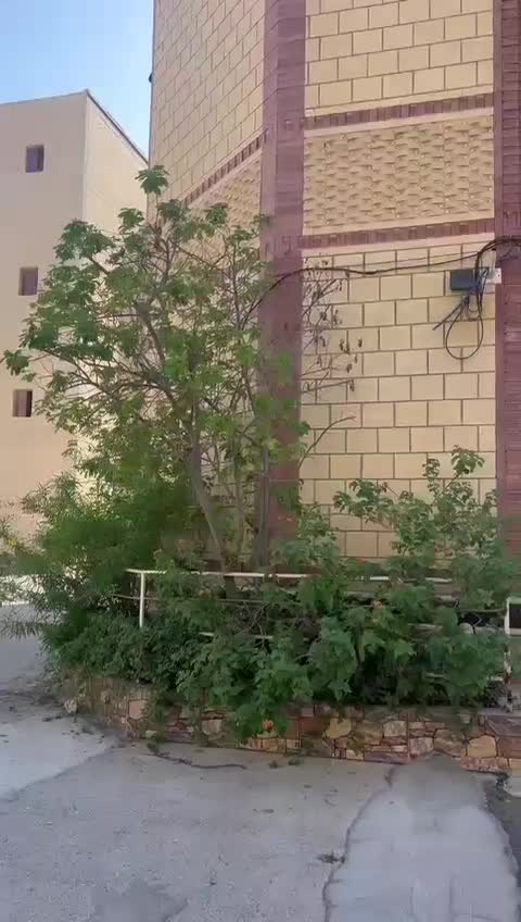 فروش دو واحدی عالیشهر|فروش آپارتمان|بوشهر, |دیوار