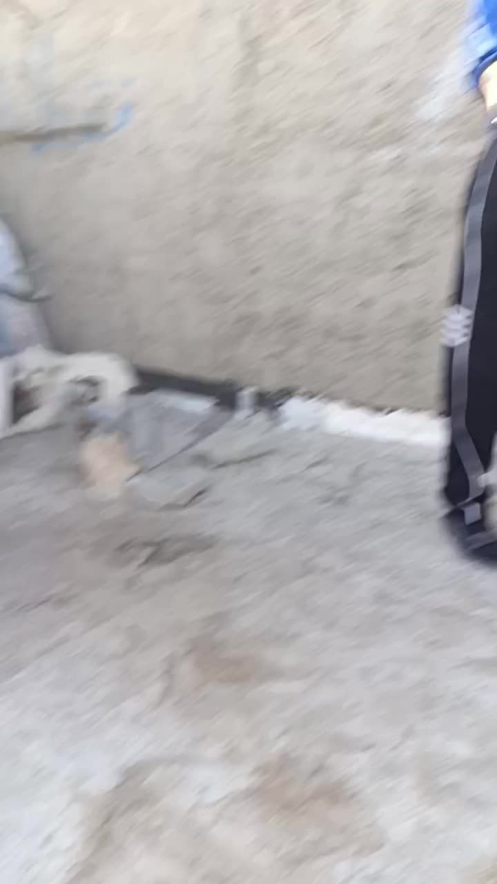 پا کوتاه|سگ|اشتهارد, |دیوار