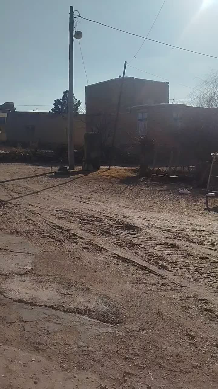 اسب|اسب و تجهیزات اسب‌سواری|آشخانه, |دیوار