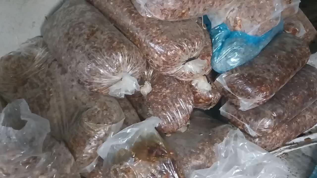 فروش خرما  2تن بار جدید|خوردنی و آشامیدنی|زرین دشت (فارس), |دیوار