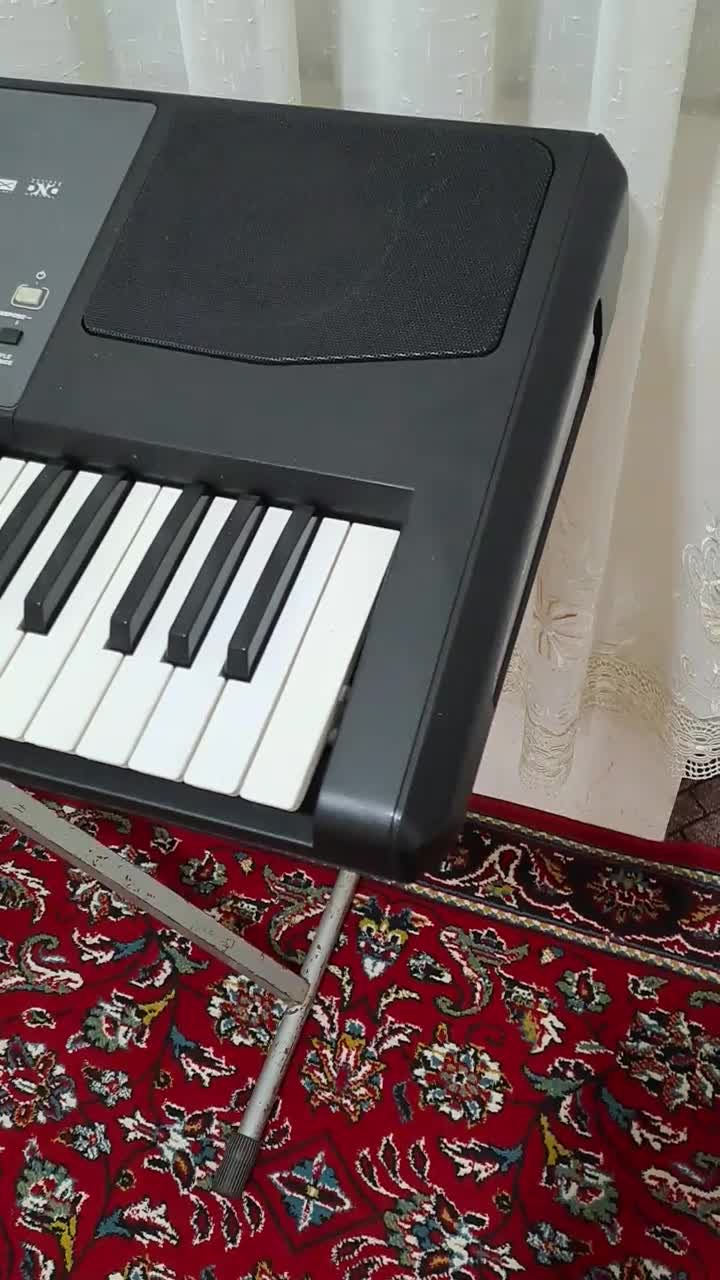 p600|پیانو، کیبورد، آکاردئون|فریدونکنار, |دیوار