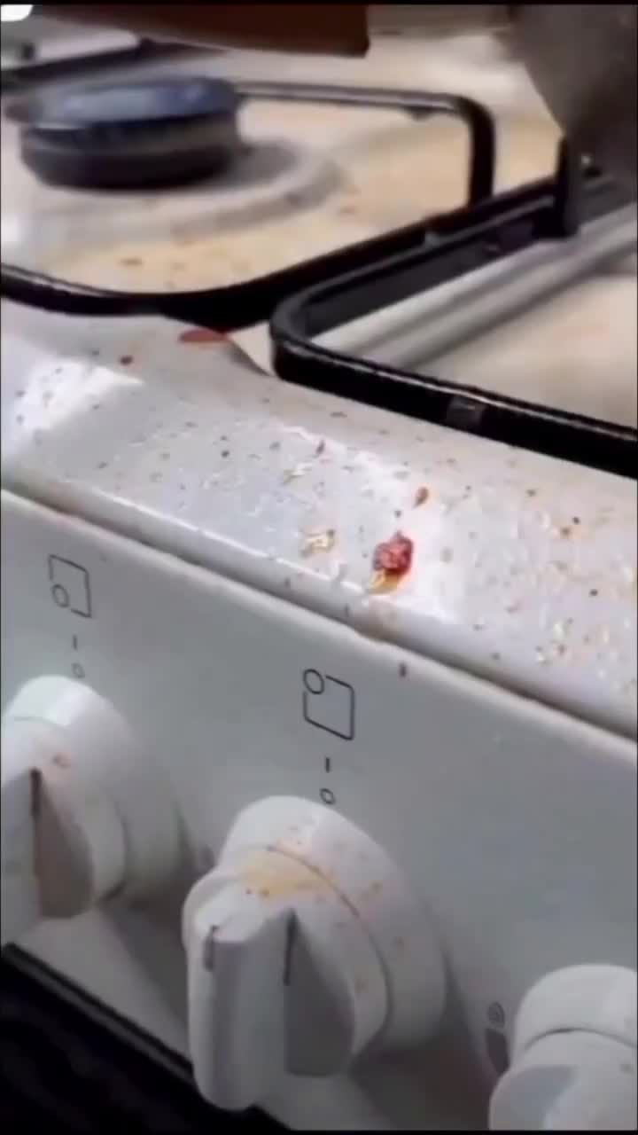 با این محصول چربی ها رو از آشپزخونه فراری بده|مواد شوینده و دستمال کاغذی|نشتارود, |دیوار