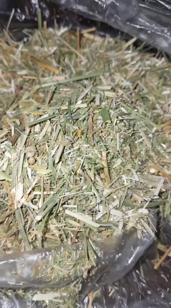بنچه یونجه|حیوانات مزرعه|شیروان (خراسان), |دیوار