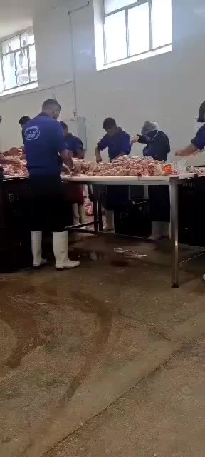 ران مرغ . ران و سردست گوساله|خدمات پذیرایی، مراسم|شیراز, شهرک صنعتی شیراز|دیوار