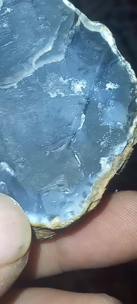 عقیق شجر دار|کلکسیون اشیاء عتیقه|شیراز, کوشک میدان|دیوار