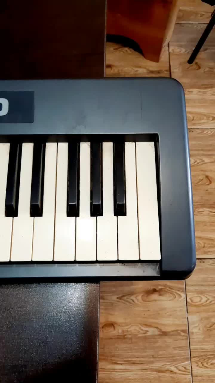 میدی کنترلر حرفه ای|پیانو، کیبورد، آکاردئون|رشت, گلسار|دیوار