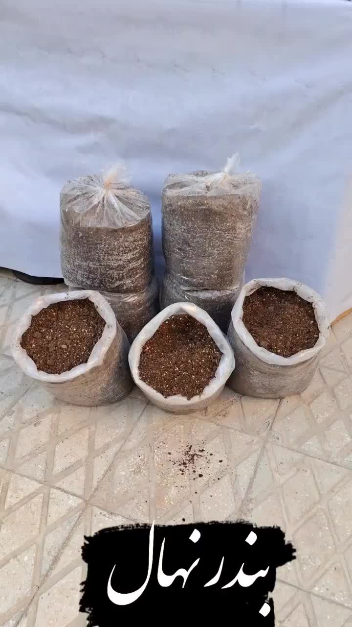 کوددامی فرآوری شده (کمپوست)|گل و گیاه طبیعی|بندرعباس, |دیوار