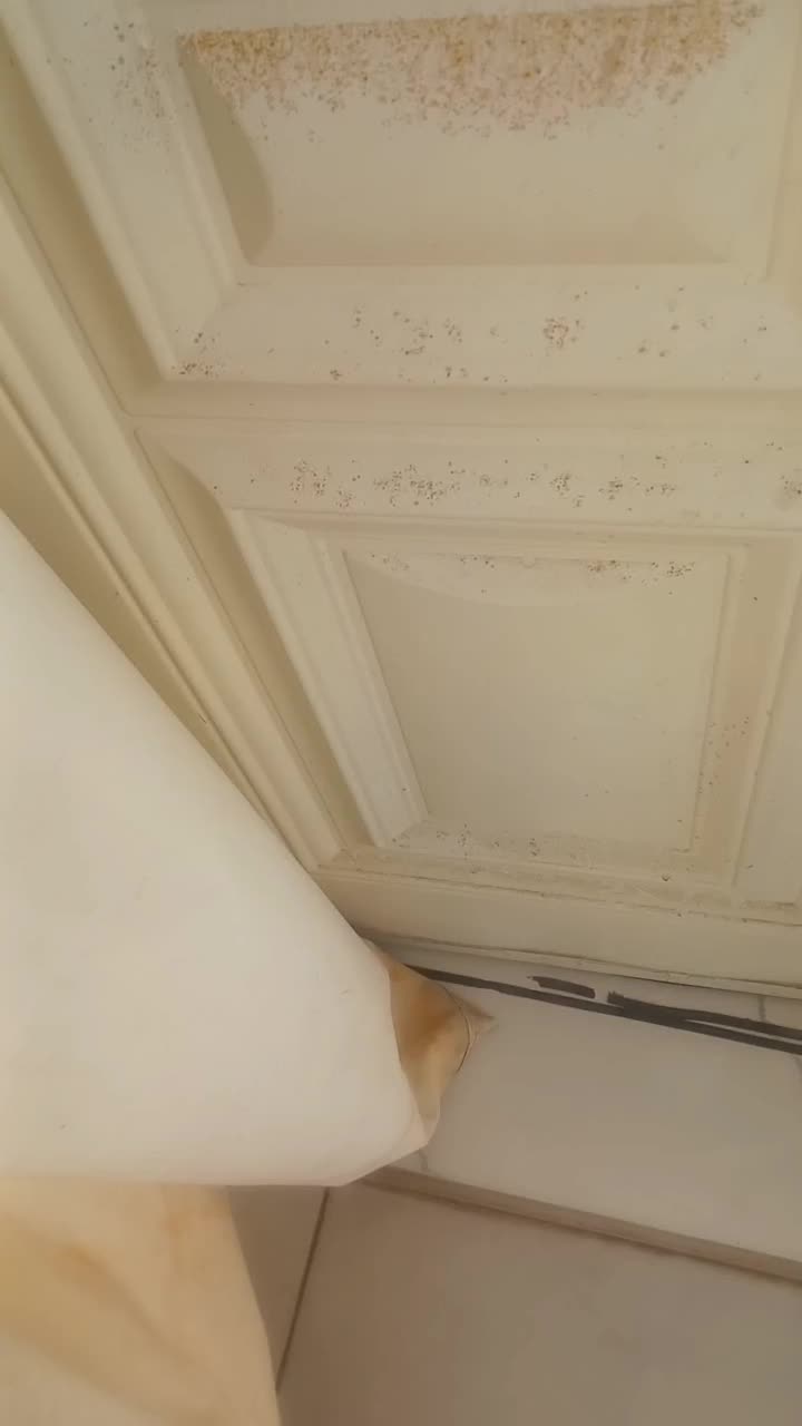 اجاره روزانه/هفتگی/ماهانه آپارتمان ۱۲۰ متری|اجارهٔ کوتاهمدت آپارتمان و سوئیت|چغادک, |دیوار