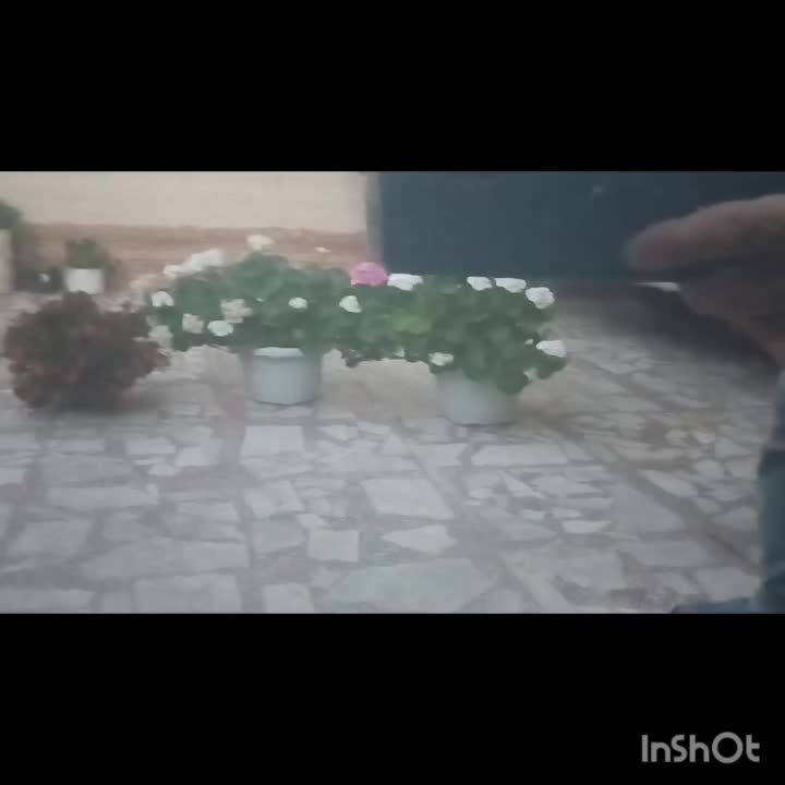 پولیش واکس و احیای رنگ وچراغها|خدمات موتور و ماشین|شاهین‌شهر, فدک|دیوار
