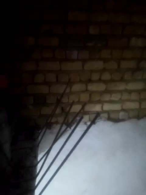 نیازمند استادکار اسکلت بتنی ونیمه ماهر|استخدام معماری، عمران و ساختمانی|شیراز, رکن‌آباد|دیوار