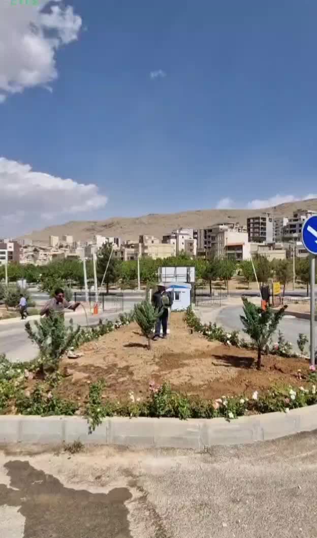 رول بذر چمن/چمنکاری با استفاده از رول بذر|خدمات باغبانی و درختکاری|تهران, لاله زار|دیوار