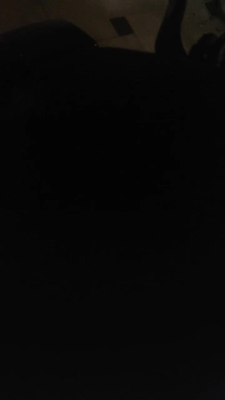 cf250|موتورسیکلت|تهران, تهرانسر مرکزی|دیوار