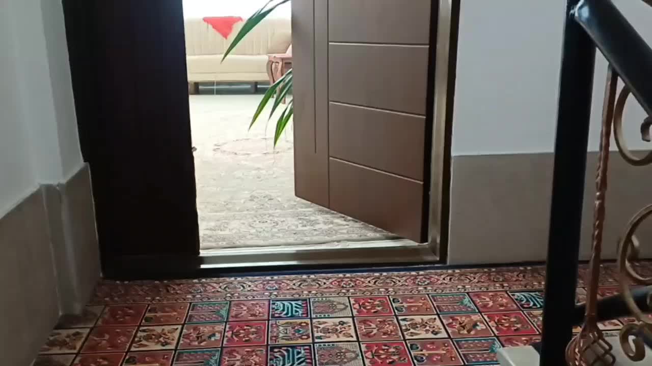 آپارتمان رهن کامل چناران|اجارهٔ آپارتمان|چناران, |دیوار