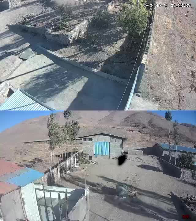 محوطه و سالن گاوداری|فروش دفتر صنعتی، کشاورزی، تجاری|بوئین زهرا, |دیوار