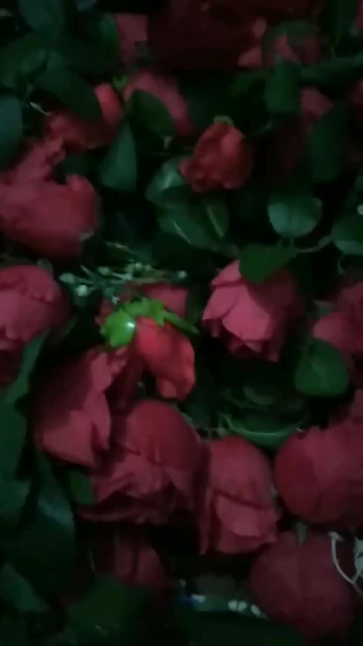 گل محمدی|گل مصنوعی|سنندج, |دیوار